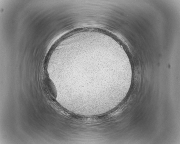 X0000085210879200704091903