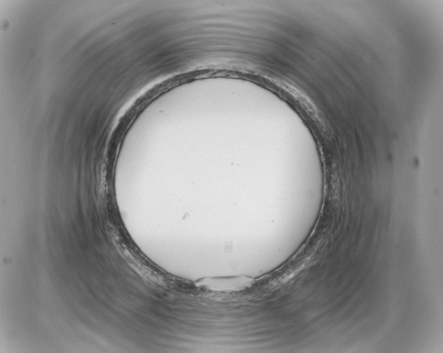 X0000085210880200704091903