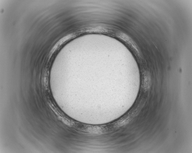 X0000085210882200704091903