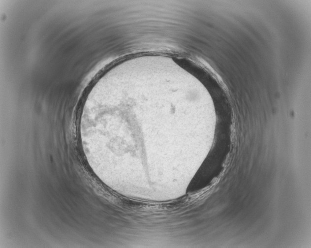 X0000085210883200704091903