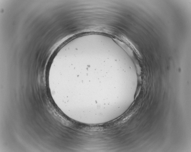 X0000085210884200704091903