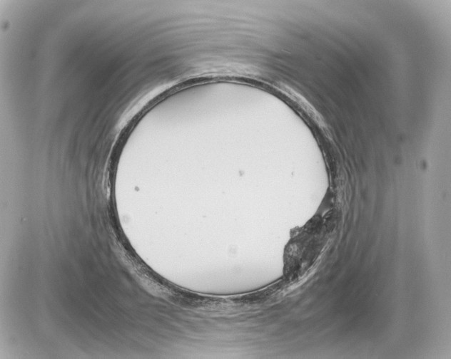 X0000085210885200704091903