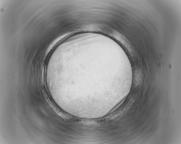 X0000085210886200704091903