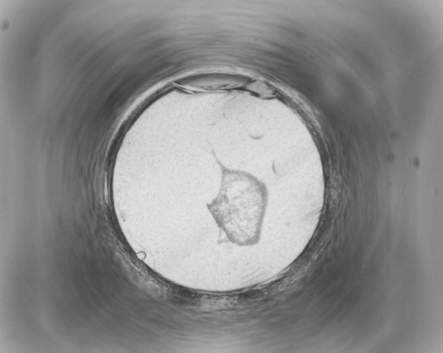 X0000085210887200704091903