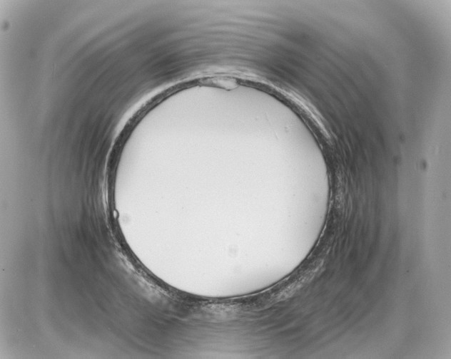 X0000085210888200704091903