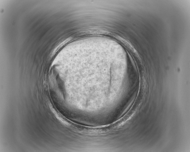 X0000085210889200704091903