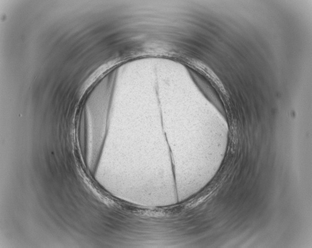 X0000085210890200704091903