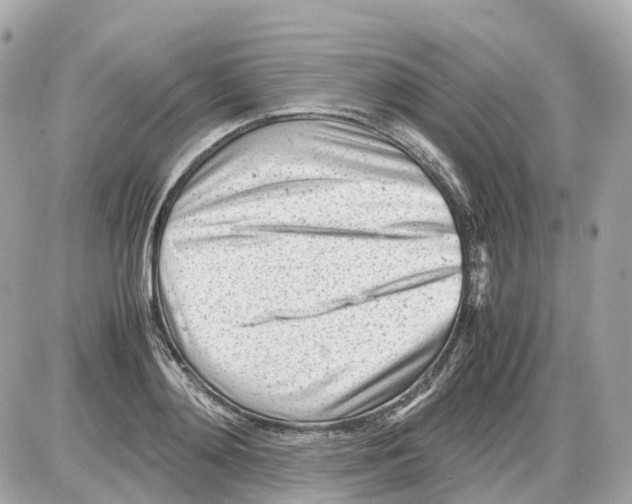 X0000085210892200704091903