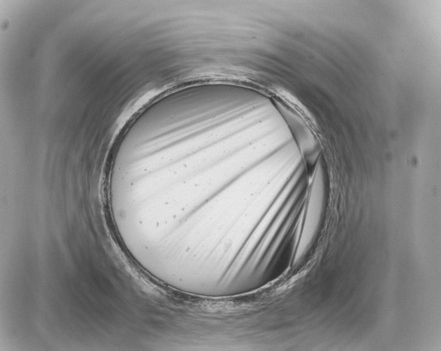 X0000085210893200704091903