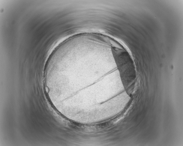 X0000085210895200704091903