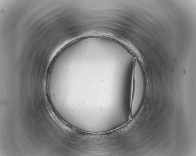 X0000085210896200704091903