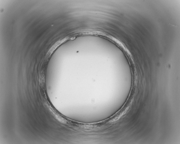 X0000085210897200704091903