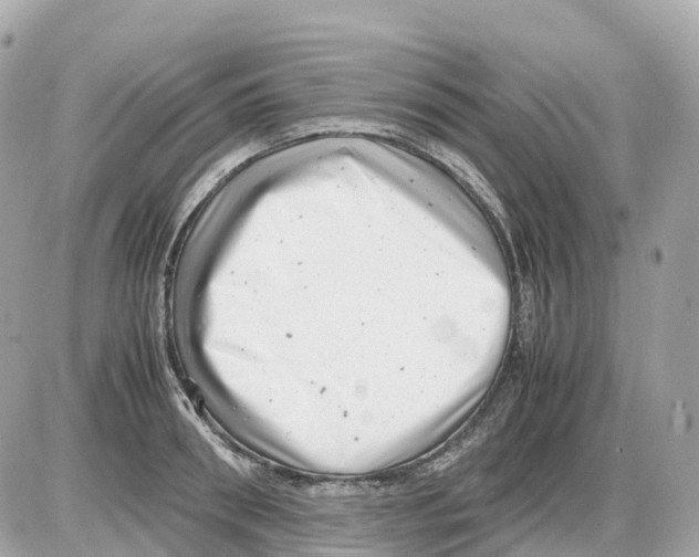 X0000085210898200704091903