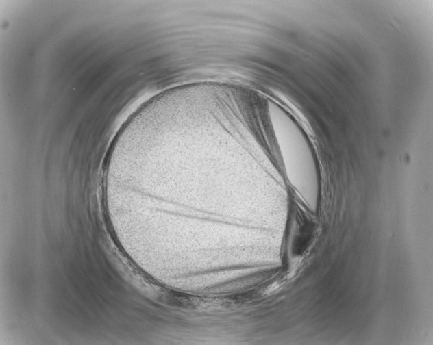 X0000085210899200704091903