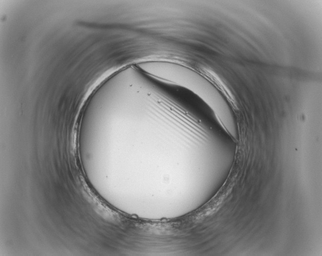 X0000085210900200704091903