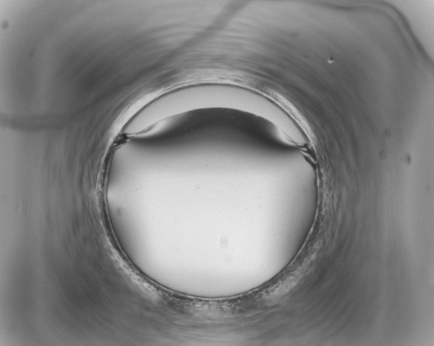 X0000085210901200704091903