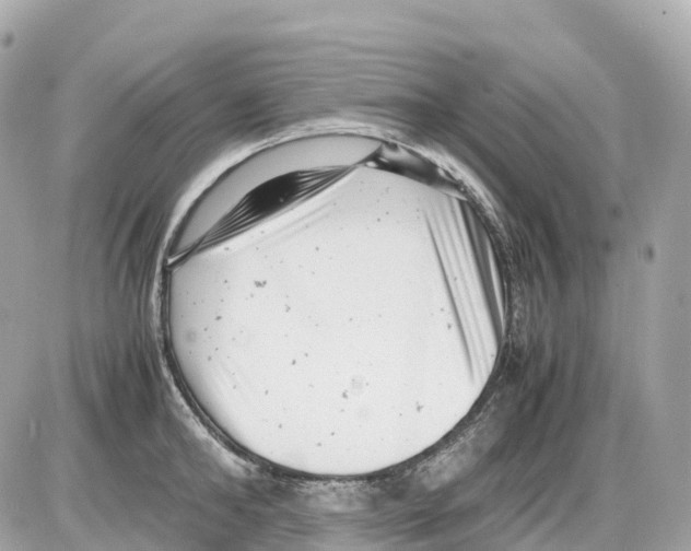 X0000085210902200704091903