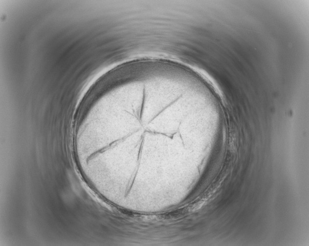 X0000085210903200704091903