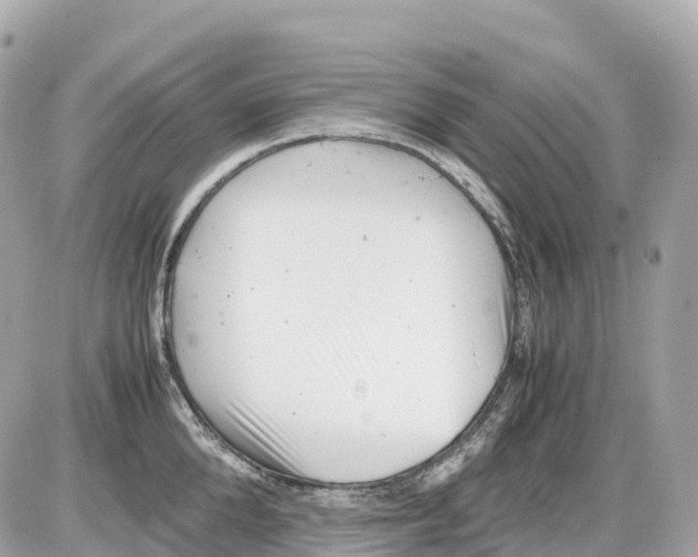 X0000085210904200704091903