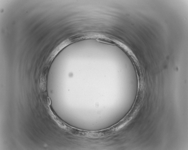 X0000085210905200704091903