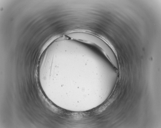 X0000085210906200704091903