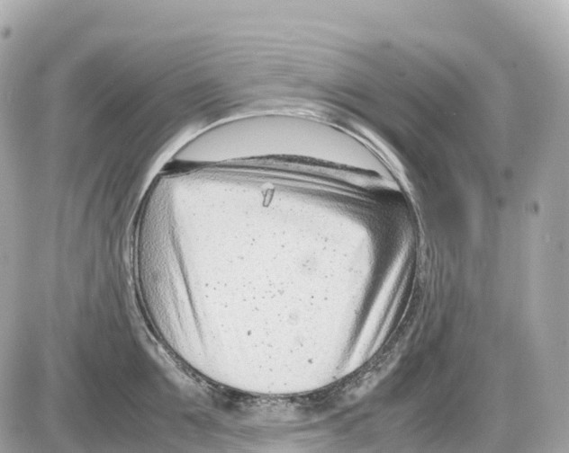 X0000085210907200704091903