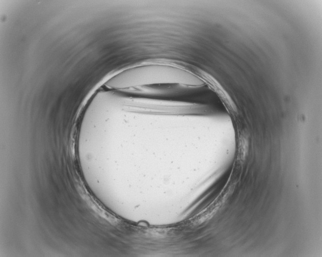 X0000085210908200704091903