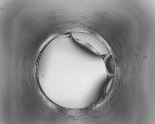 X0000085210909200704091903