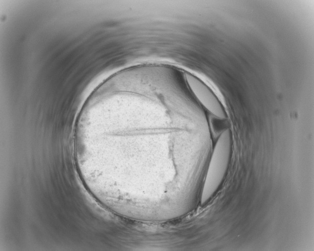 X0000085210911200704091903