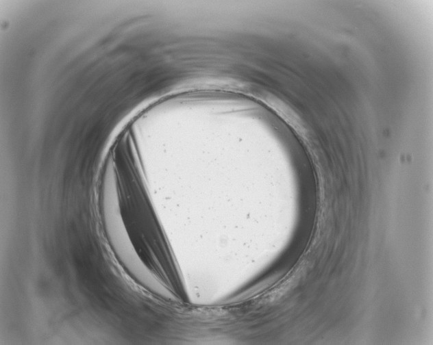 X0000085210912200704091903