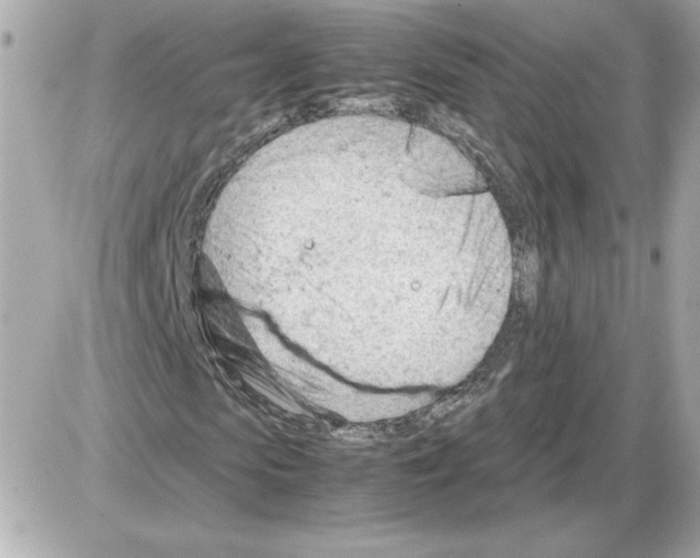 X0000085210913200704091902