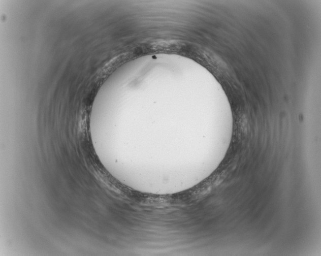 X0000085210914200704091902