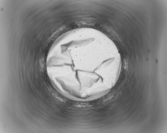 X0000085210915200704091902