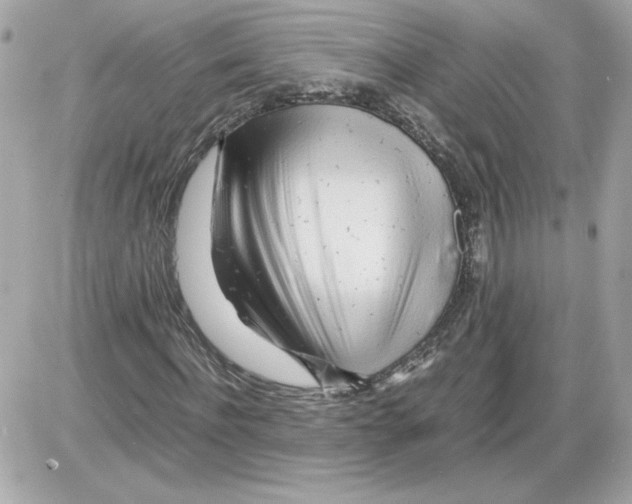 X0000085210916200704091902