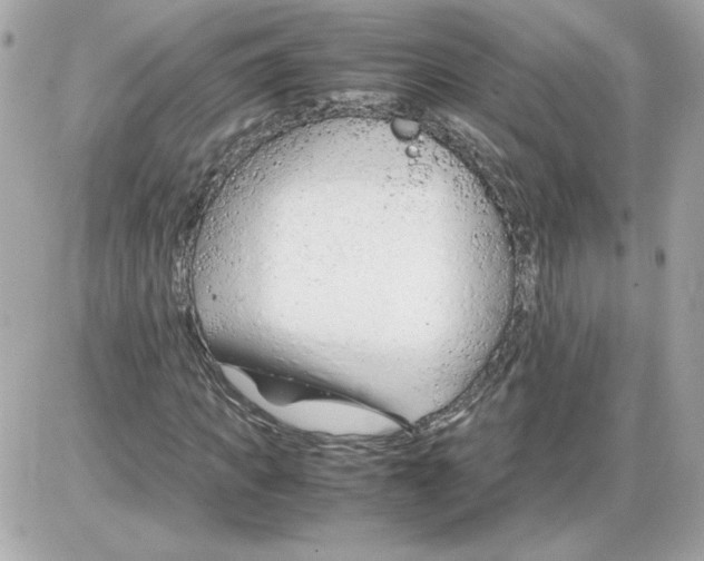 X0000085210917200704091902