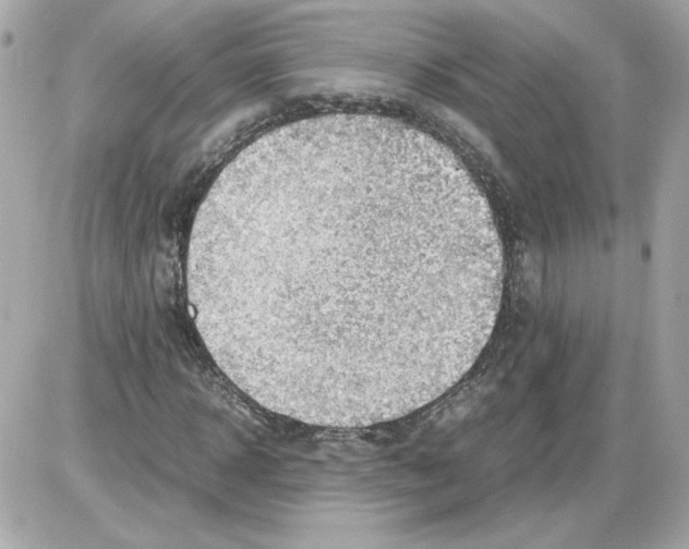 X0000085210918200704091902