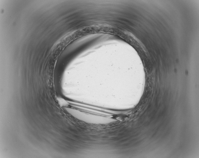 X0000085210919200704091902