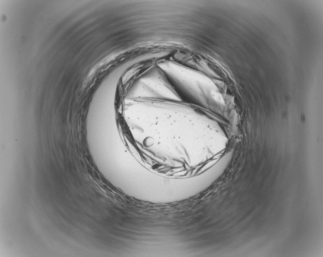 X0000085210920200704091902