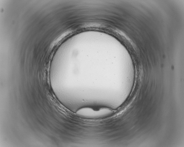 X0000085210921200704091902