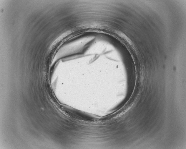 X0000085210922200704091902