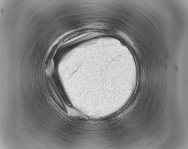 X0000085210923200704091902