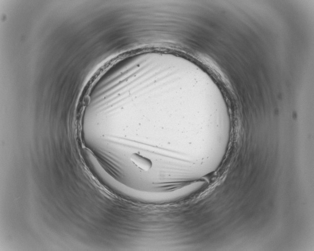 X0000085210924200704091902