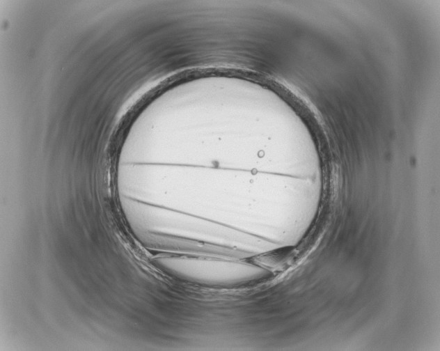 X0000085210925200704091902