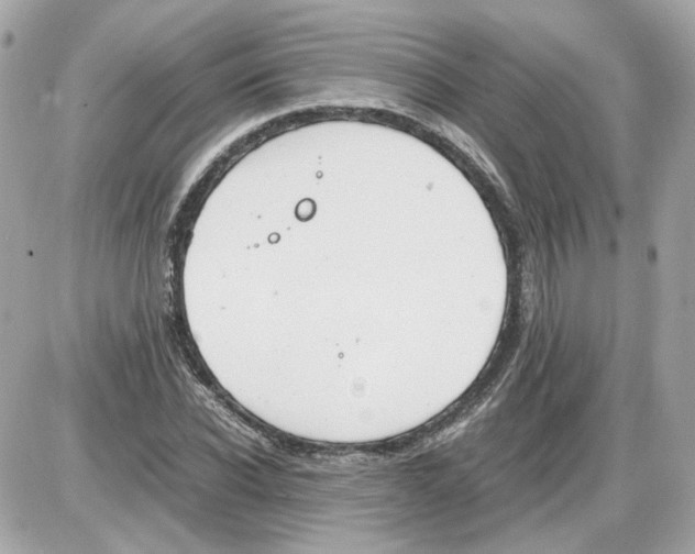 X0000085210926200704091902