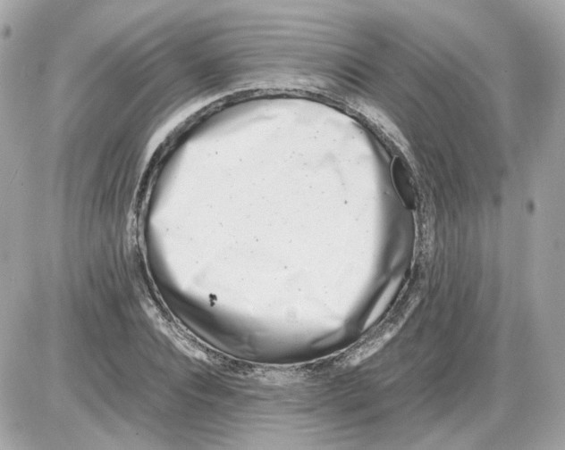 X0000085210928200704091902