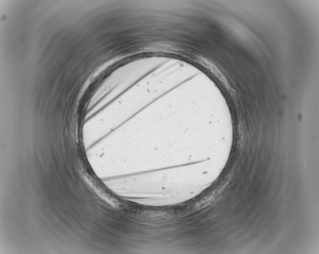 X0000085210931200704091902