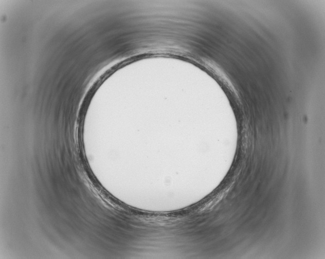 X0000085210932200704091902