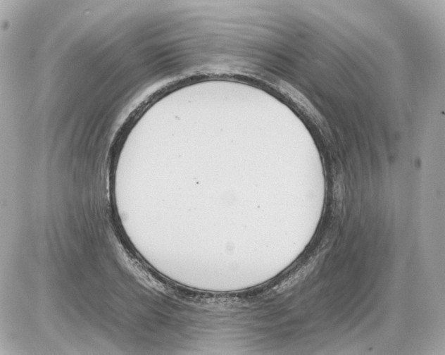 X0000085210934200704091902