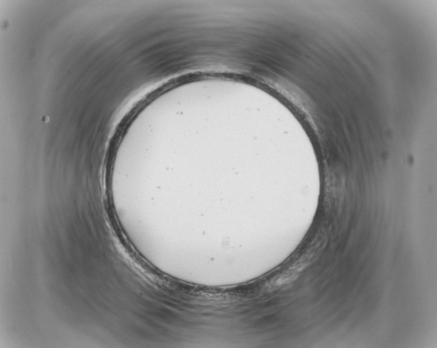 X0000085210935200704091902