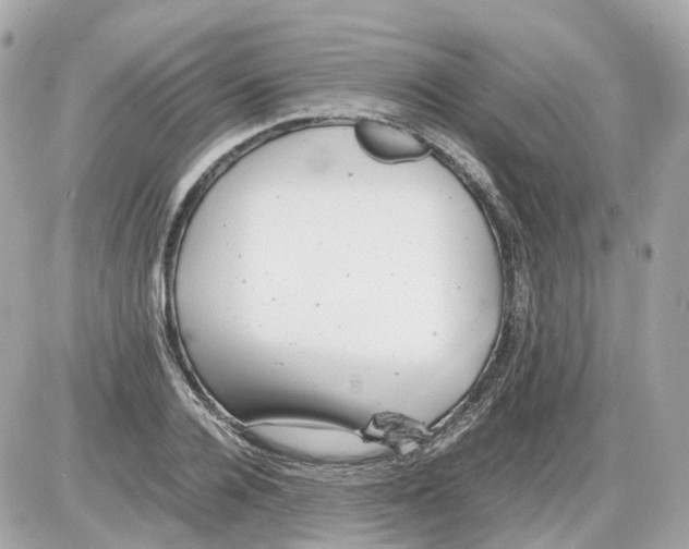 X0000085210936200704091902